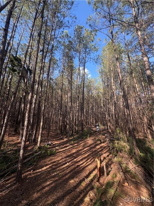 30-A-201 Ridgefield Rd, Mathews, VA, 23109 | Card Image