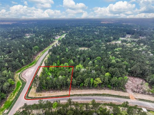 4848 Red Coyote Lane, Montgomery, TX, 77316 | Card Image