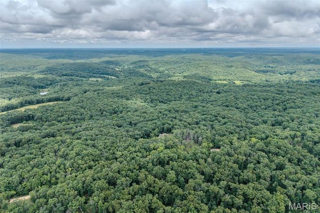 Aerial view of a forest | Image 81