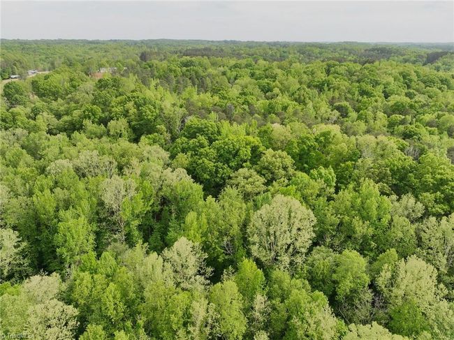 0 Windchester Ln, Home with 0 bedrooms, 0 bathrooms and null parking in Blanch NC | Image 9
