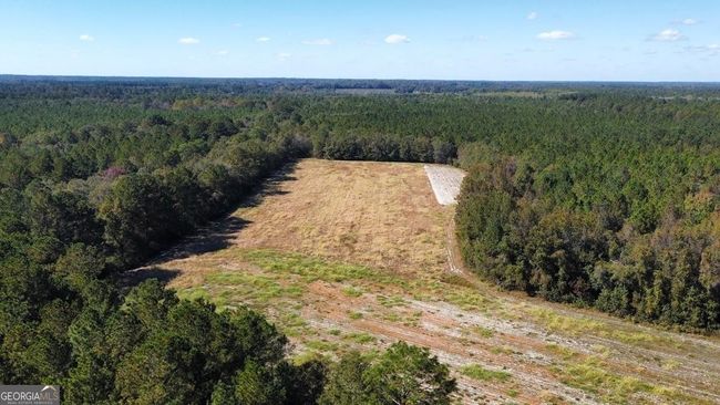 268-ACRES - 99 Old Happy Ln, Home with 0 bedrooms, 0 bathrooms and null parking in Brooklet GA | Image 13