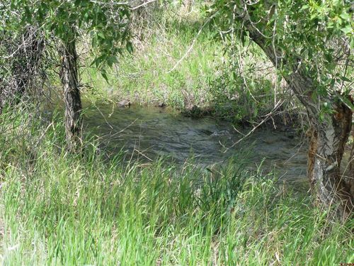 TBD Vacant Land Street, Villa Grove, CO, 81155 | Card Image