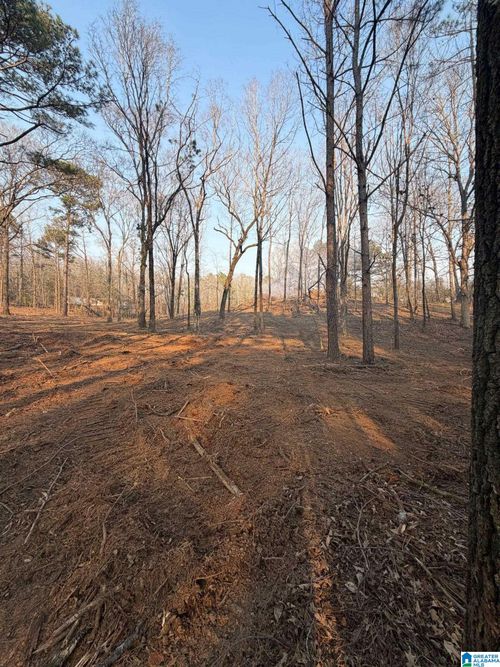 none-1895 Eureka Road, Lincoln, AL, 35096 | Card Image
