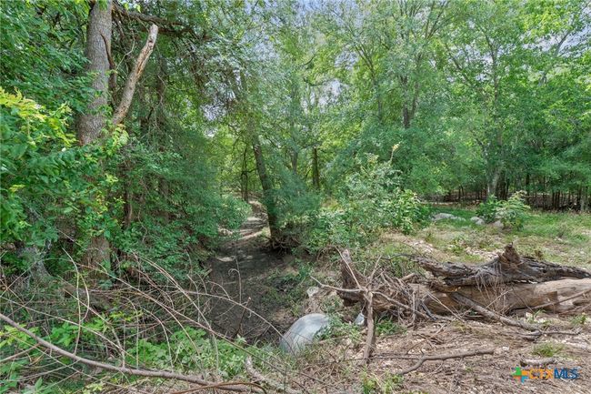 3597 Baker Rd, Home with 0 bedrooms, 0 bathrooms and null parking in Kingsbury TX | Image 31