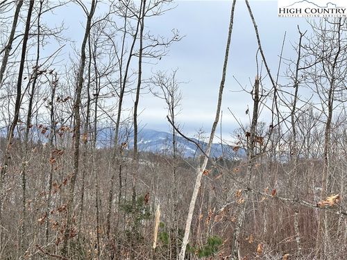 0000 LOT 78 Black Bear Xing, Elk Park, NC, 28622 | Card Image
