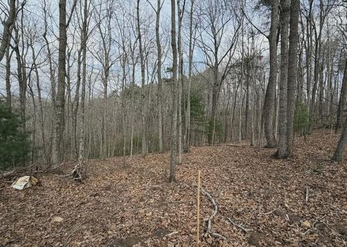 Tract B2 Mountain Ridge Rd, Blue Ridge, GA, 30513 | Card Image