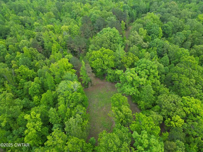 0 Buggy Branch Ln, Home with 0 bedrooms, 0 bathrooms and null parking in Cedar Grove TN | Image 18