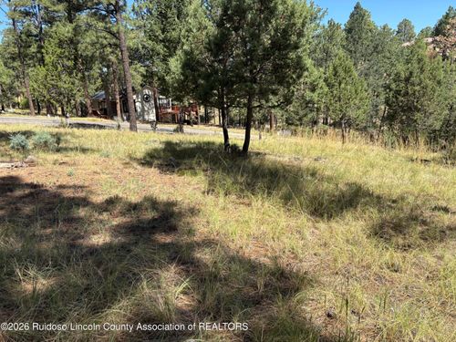 102 Twin Tree Loop, Alto, NM, 88312-8057 | Card Image
