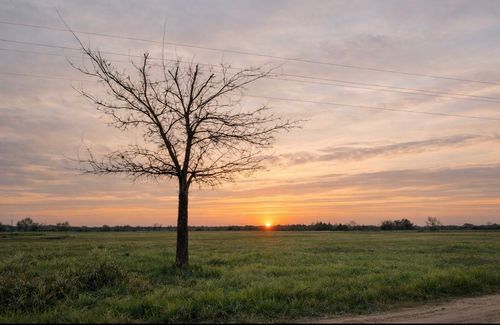 TBD County Road 14420, Pattonville, TX, 75468 | Card Image