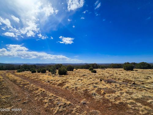 Lot 468 Concho Dr, Concho, AZ, 85924 | Card Image