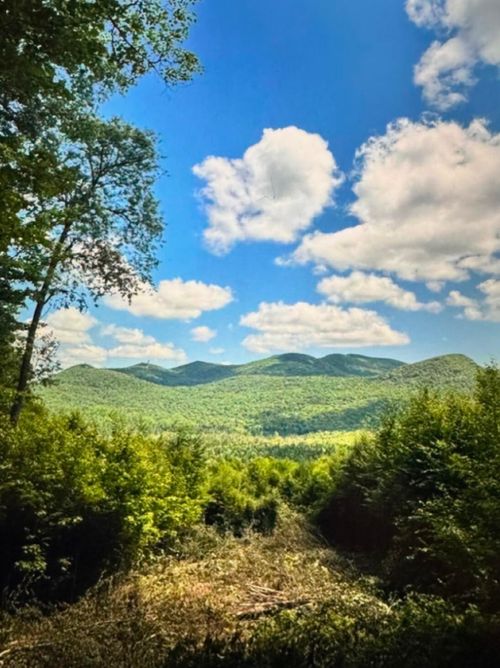 1189 Port Kent-Hopkinton Tpke, Loon Lake, NY, 12989 | Card Image