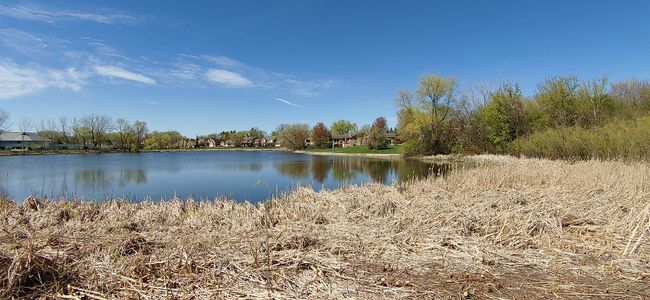 1215 N Forest Ave, Home with 0 bedrooms, 0 bathrooms and null parking in Palatine IL | Image 5
