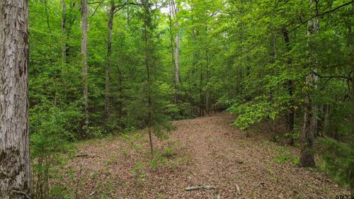 South Tract 000 Firetower Rd, Hallsville, TX, 75650 | Card Image