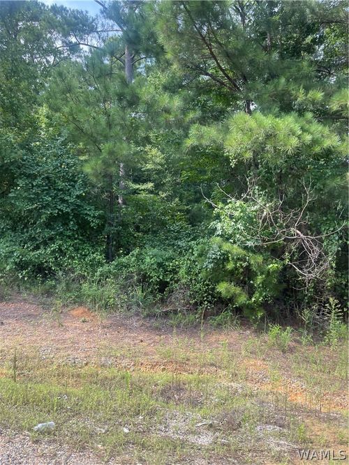 0 North River Lane, Tuscaloosa, AL, 35475 | Card Image