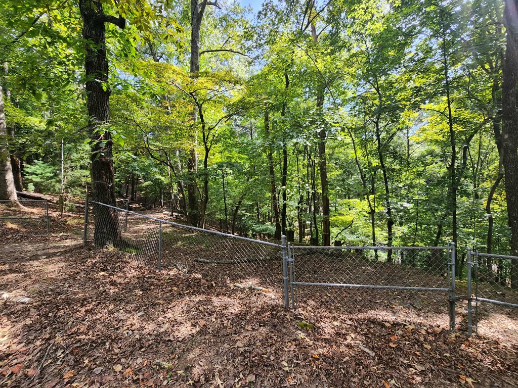 Land in Ellijay 2