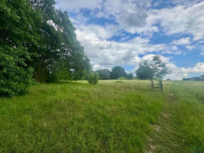 TBD 2174 Tbd 2174, Home with 0 bedrooms, 0 bathrooms and null parking in Tatum TX | Image 15