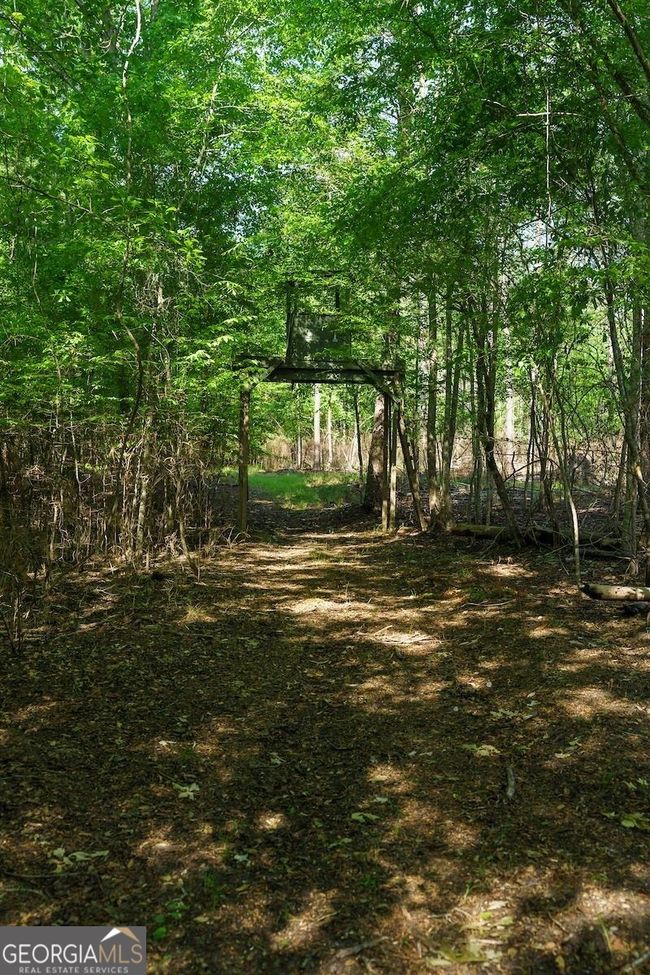 6053 Sun Hill Grange Rd, Home with 0 bedrooms, 0 bathrooms and null parking in Davisboro GA | Image 44