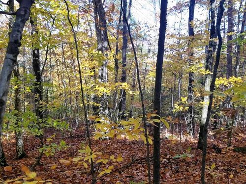10-12-10 Boulder Dr, Campton, NH, 03223-4447 | Card Image