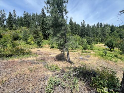 0 1 TBD 1st St, Northport, WA, 99157 | Card Image