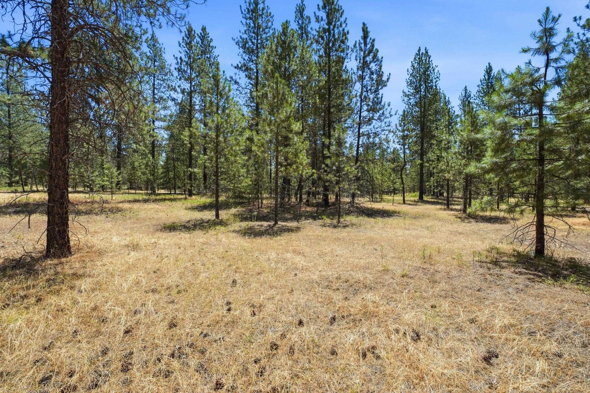 Land in Chattaroy 3