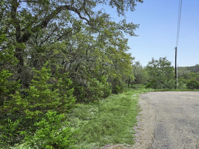 157 Verbena Cir, Home with 0 bedrooms, 0 bathrooms and null parking in Spring Branch TX | Image 14