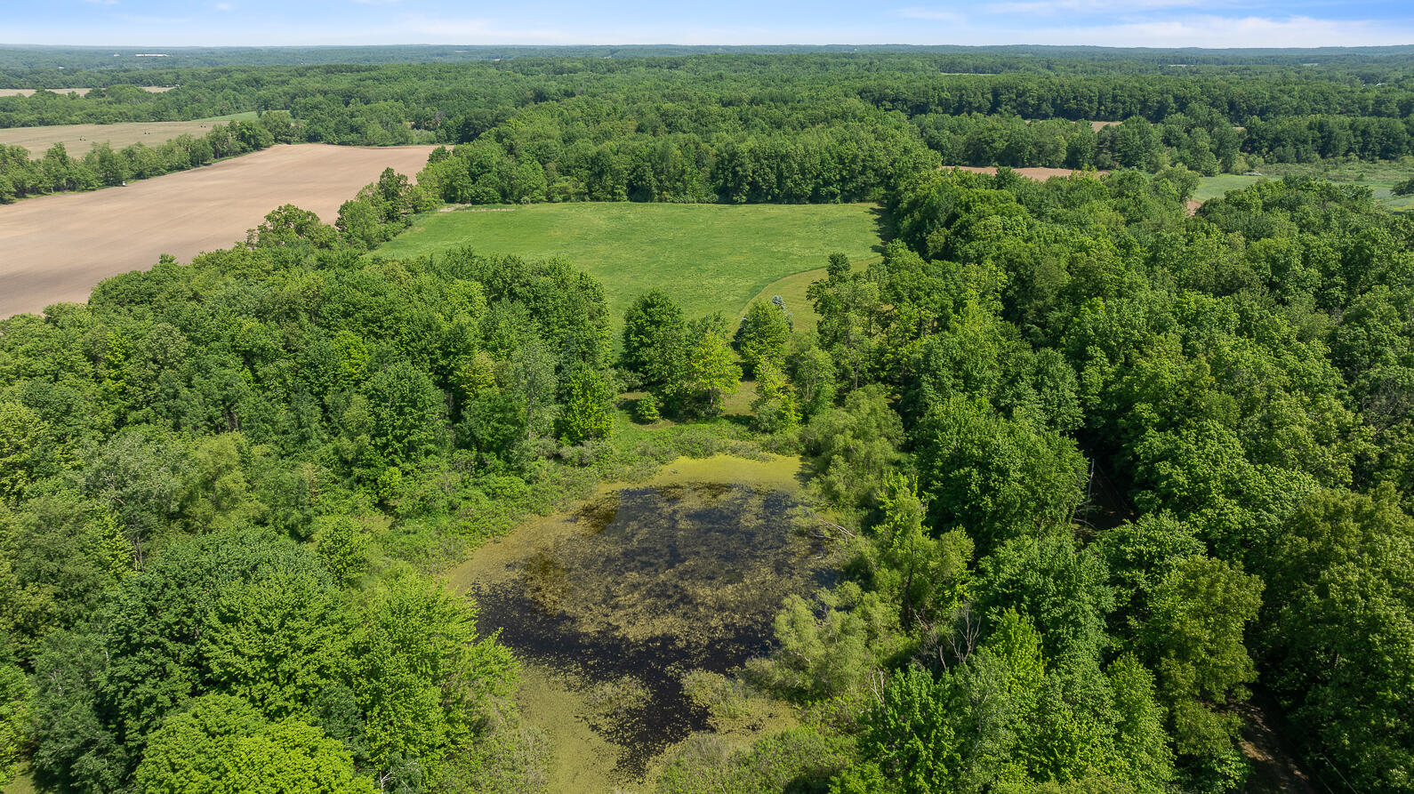 Hastings Lake Rd, Jonesville, MI 49250