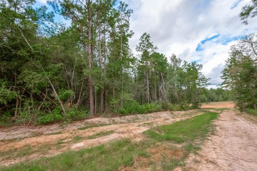 8100 High Meadow Ridge Ct, Montgomery, TX, 77316-3310 | Card Image