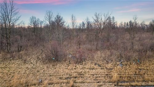 V/L Townline Road, Cambria, NY, 14131 | Card Image