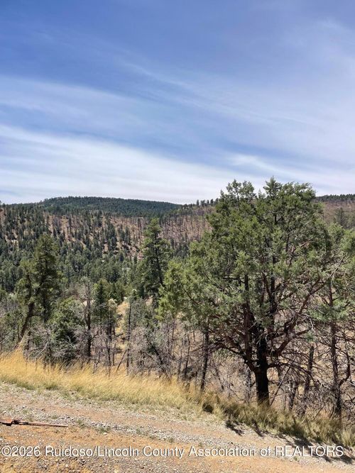 172 Whirlaway Dr, Ruidoso, NM, 88345-9075 | Card Image