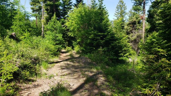 500 Blacktail Heights Rd, Home with 0 bedrooms, 0 bathrooms and null parking in Lakeside MT | Image 12