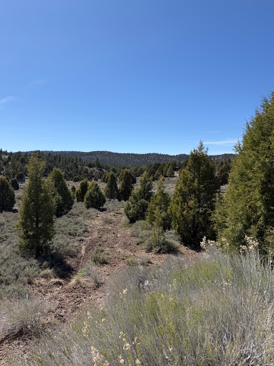 Land in Alton 2