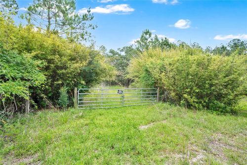 7831 Ne 132nd Pl, CITRA, FL, 32113-5421 | Card Image
