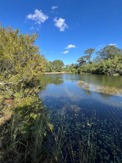 3200 Highway 53, Poplarville, MS, 39470-4141 | Card Image