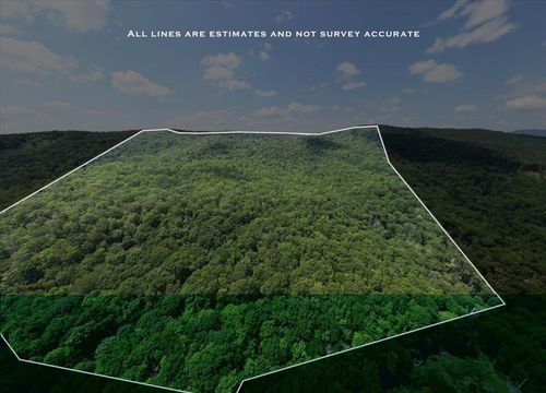 TBD Halterman Hill Ln, MONTEREY, VA, 24465 | Card Image