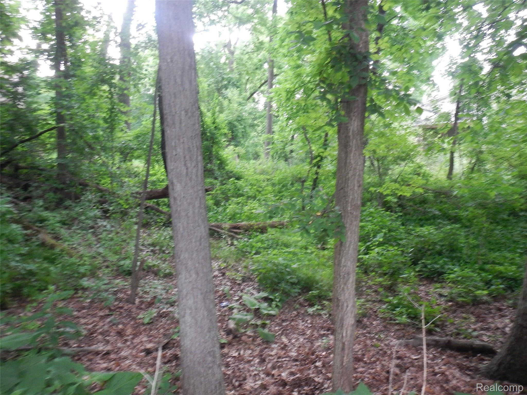 Land in Lake Orion Village 2