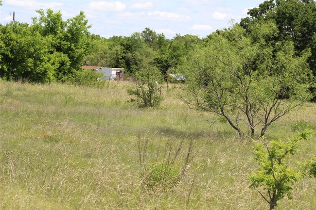 View of tree filled area | Image 9