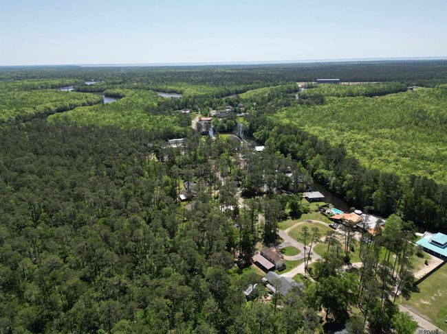 31531 River Pines Dr, Home with 0 bedrooms, 0 bathrooms and null parking in Springfield LA | Image 23
