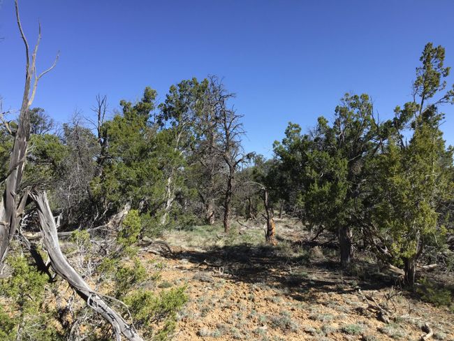 Lot 7 Red Fox Road, Home with 0 bedrooms, 0 bathrooms and null parking in Ramah NM | Image 26