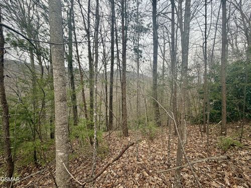 6 Thissa Way, Gatlinburg, TN, 37738 | Card Image