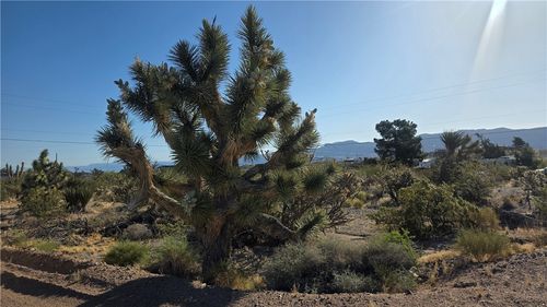 29952 N Driftwood Dr, Meadview, AZ, 86444 | Card Image