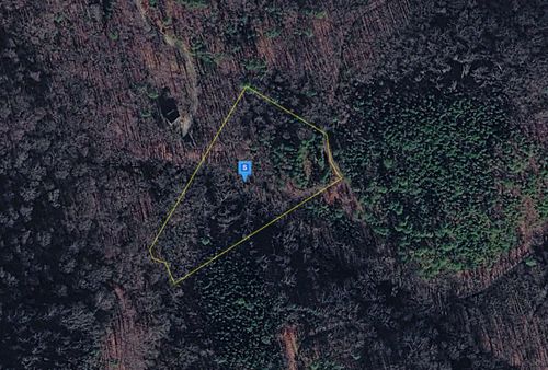 1040 Old River Rd, Walland, TN, 37886 | Card Image