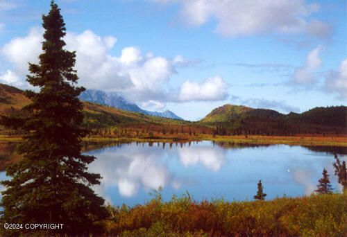 63182 S Karola St, Chickaloon, AK, 99674 | Card Image