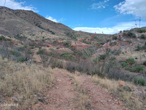 23-127 N Lupine Rd, Bisbee, AZ, 85603-9022 | Card Image