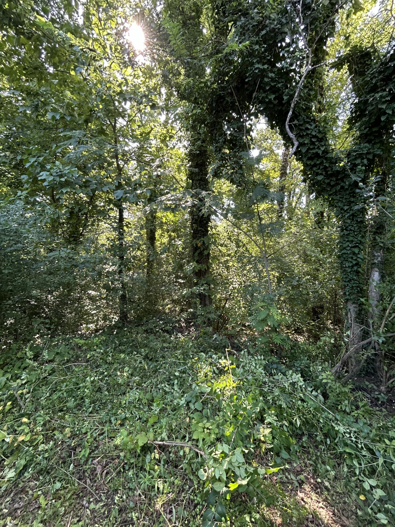 Land in Chattanooga 4