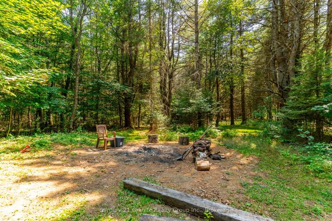 10979 Highway 118, House other with 3 bedrooms, 1 bathrooms and 8 parking in Algonquin Highlands ON | Image 29