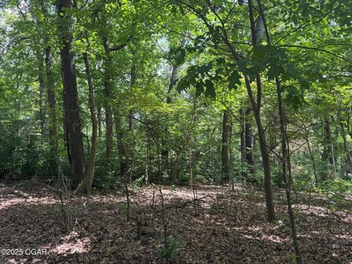 000 Twin Springs Dr, Cassville, MO, 65625 | Card Image