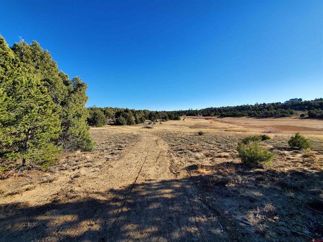 13989 Road 35.6, Home with 0 bedrooms, 0 bathrooms and null parking in Mancos CO | Image 31