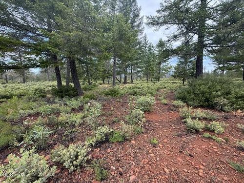 32001 Redwood Highway, Cave Junction, OR, 97523 | Card Image