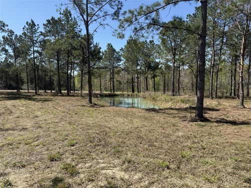 521 Rolling Pines Dr, Livingston, TX, 77351 | Card Image