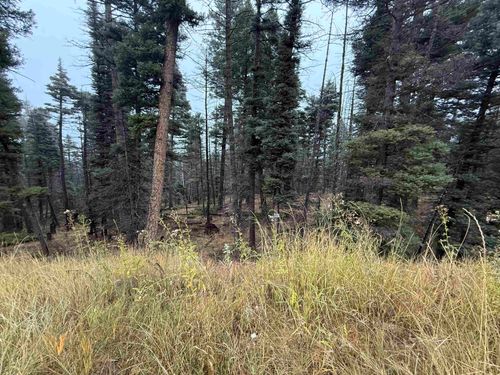 220 Peak Pl, Angel Fire, NM, 87710 | Card Image